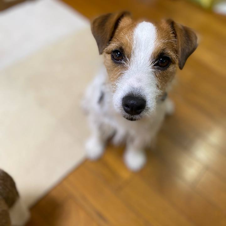 Ad6f16c1 c36b 436d bb53 6718a2c760df 1723504203700