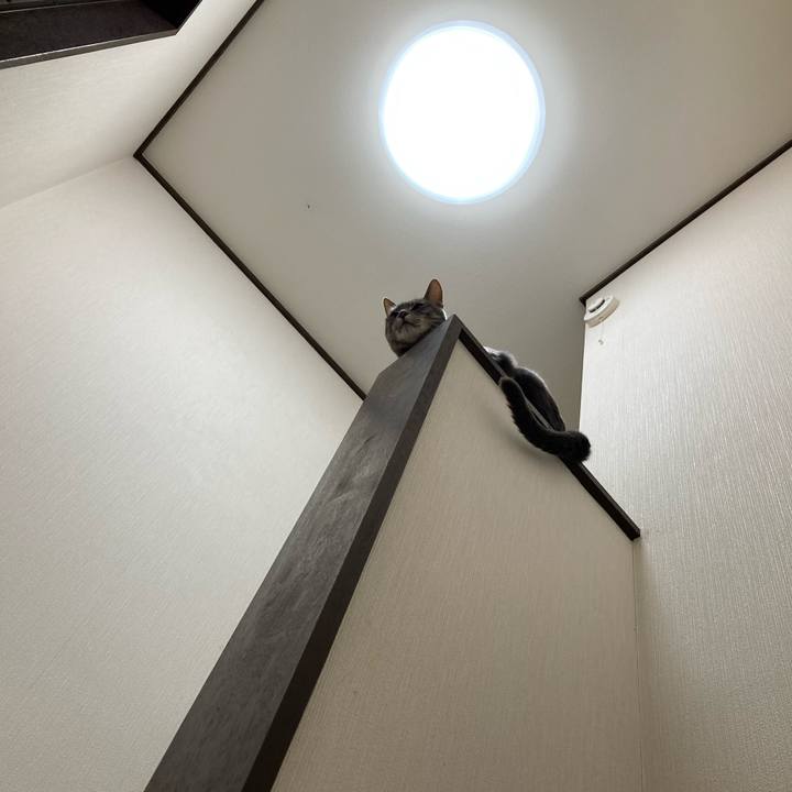 Ad6f1a69 89d0 47c0 a553 d9680fc83f07 1618842060359