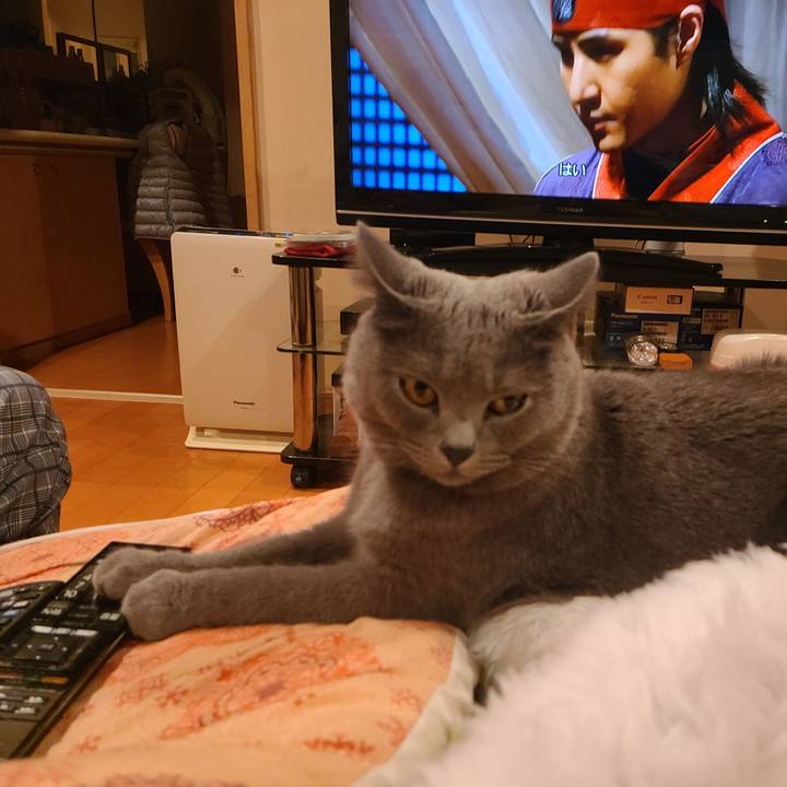 Ad6f4159 1b91 4d41 bd44 3acba7d0320a 1604019600883