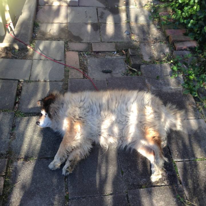 Ad6f56c3 dfd1 4773 aa3c 2c78b3c40242 1590737226716