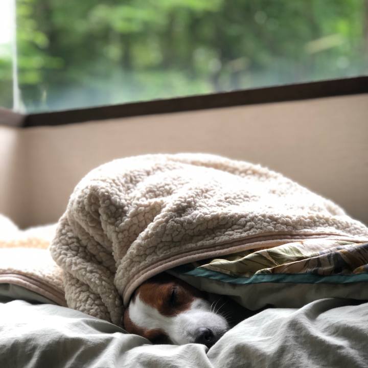 Ad6f8669 a9e8 4756 8afe d760cde308dd 1594629108652