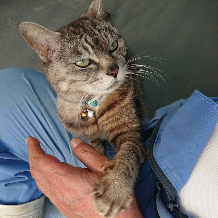 Ad6fbebf 0b22 431a a4ef 92a05c3afa56 1559553799935