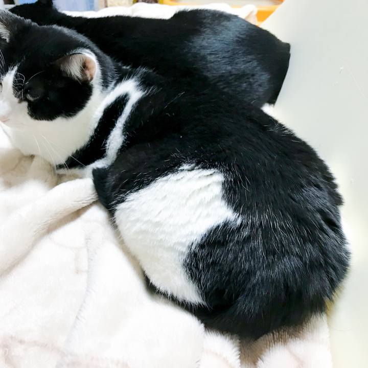 Ad6fc9a5 7563 4b54 97a9 9be2d047ad6d 1515329076181