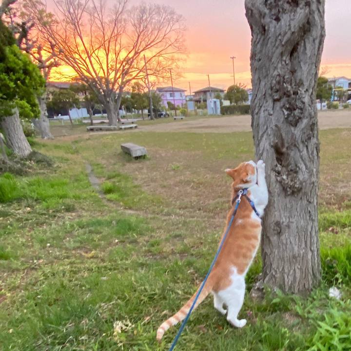 Ad6fe9af 82cc 4e7b b0c5 2e7182da5f09 1587897085080