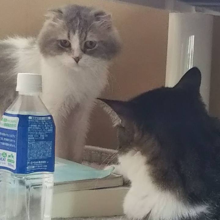 Ad7014b6 1e2f 4382 b0b2 d8008d87d927 1624752860298