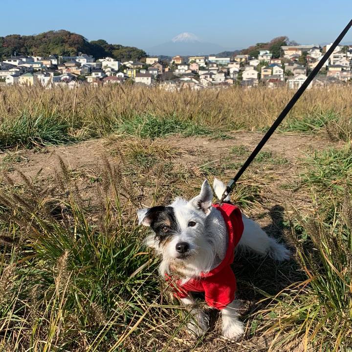 Ad701ba4 3ed8 46ce af22 bf9112d28543 1700612388572