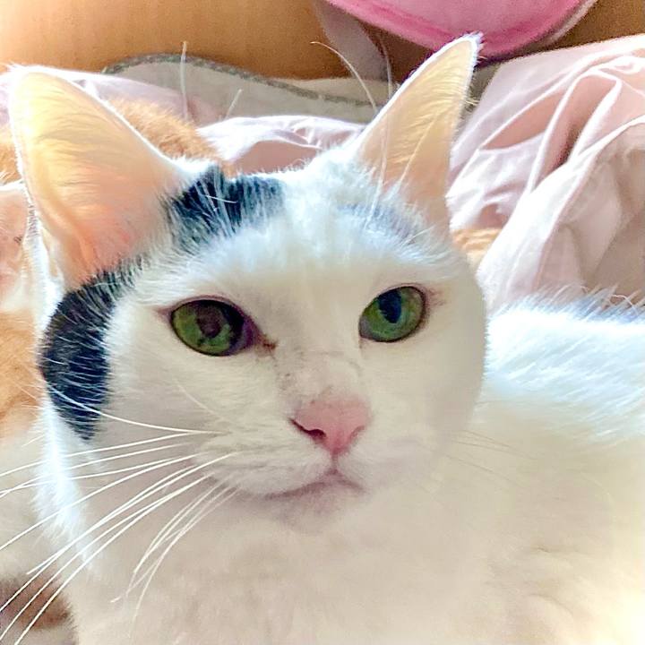 Ad701d21 bbff 4235 a116 601aa5a1f128 1677222762134