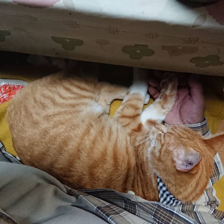 Ad702456 9c80 42bc 9bb7 11effc66a632 1571479920793