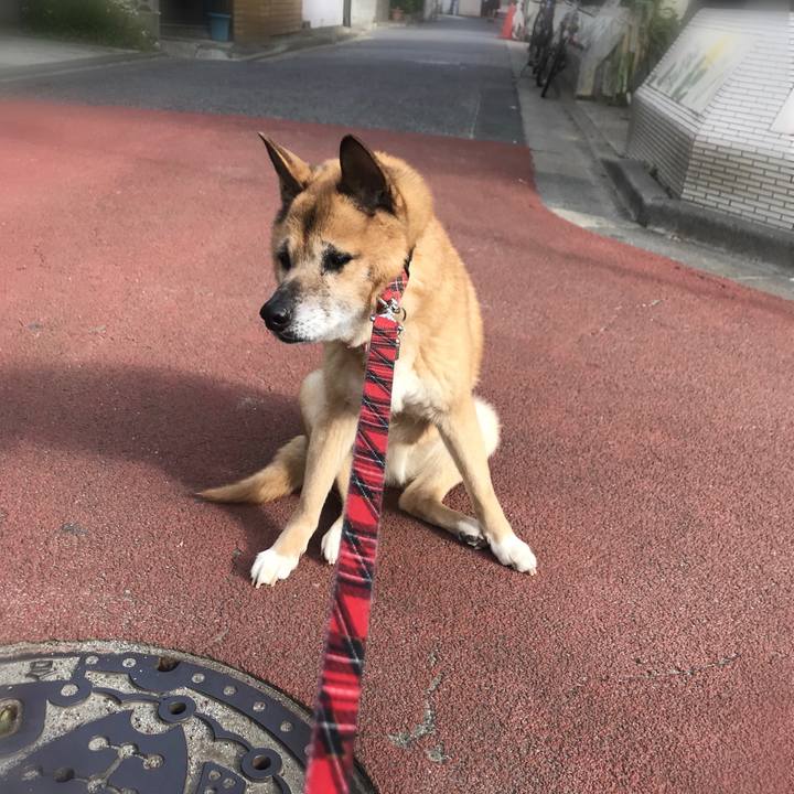 Ad702463 abb0 4a1d 97ca 58866b0d3424 1524781717359