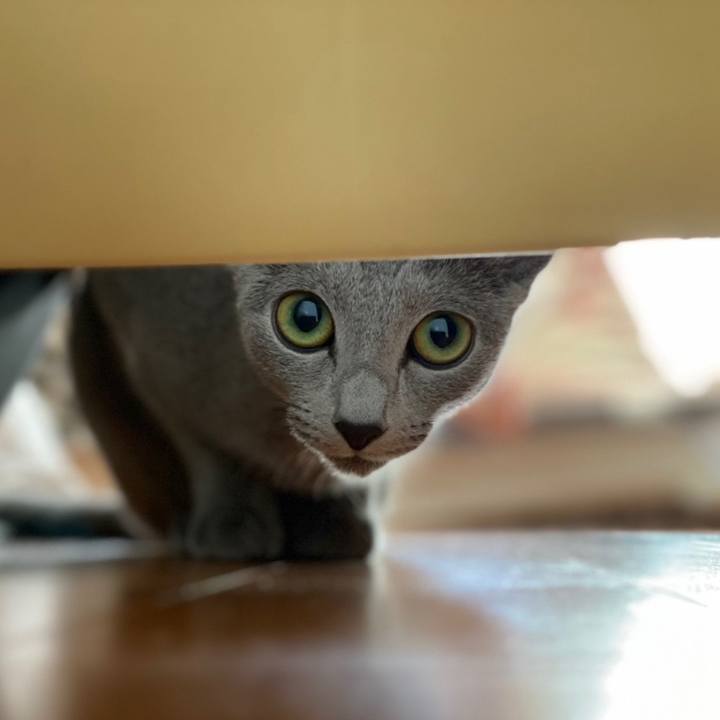 Ad7035d0 b9d2 451c 979c cb6375095685 1605346742733