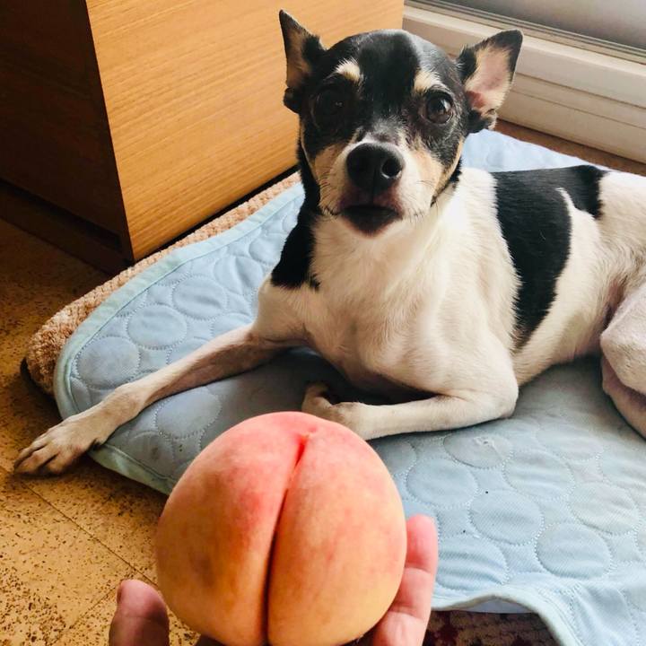 Ad708af6 fe73 4ca3 b8e8 0282ad50d5ae 1721435553805