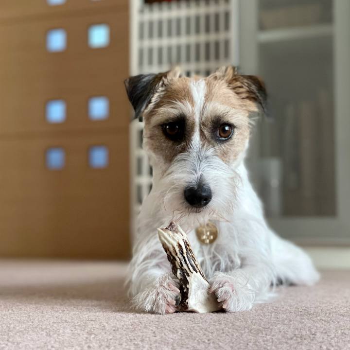 Ad7098b6 2dea 4275 8685 44933bca46a5 1627709108423