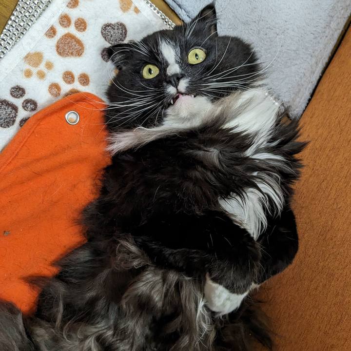 Ad70b341 01d7 4f15 bb2c c096a062e4e0 1707129592175