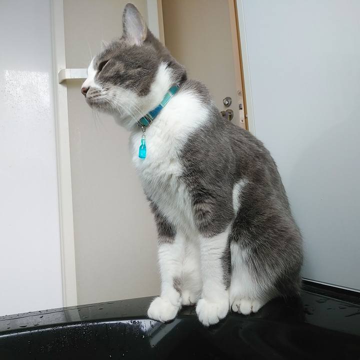 Ad70d4bc 8566 4a65 8f57 7573230c63ba 1646540639764