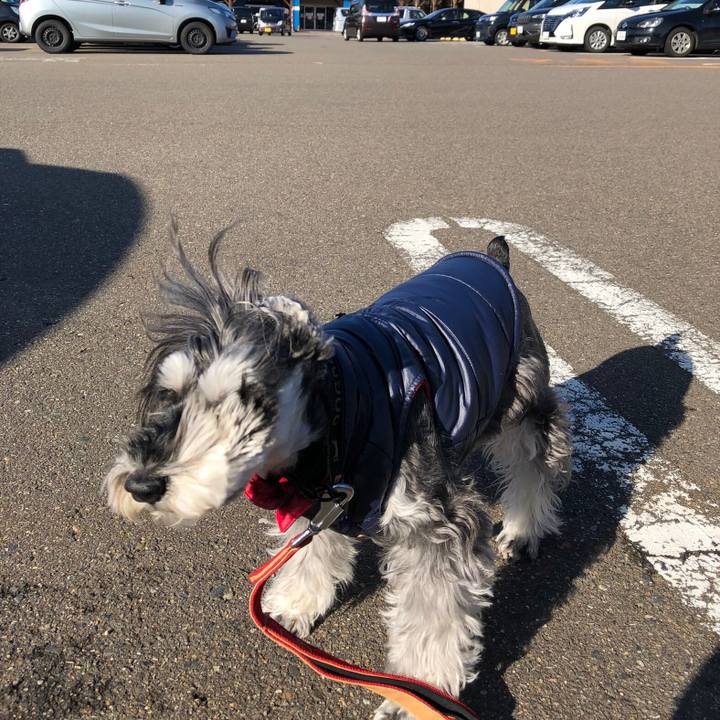 Ad70d7aa 1c2d 4406 918e 31d97399906b 1703927207226