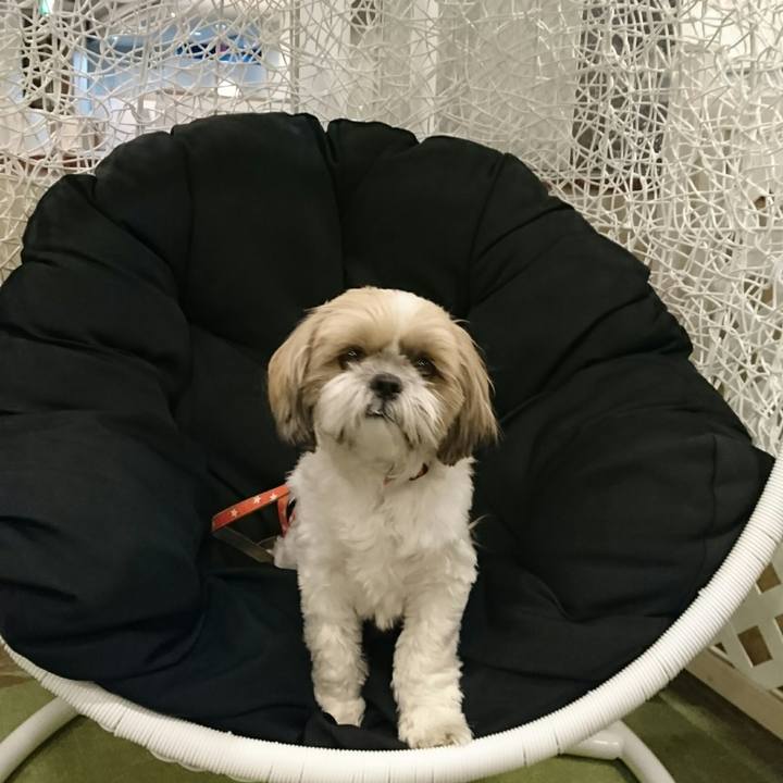 Ad70d911 4064 4c33 859e faa3939caf8c 1553693824818