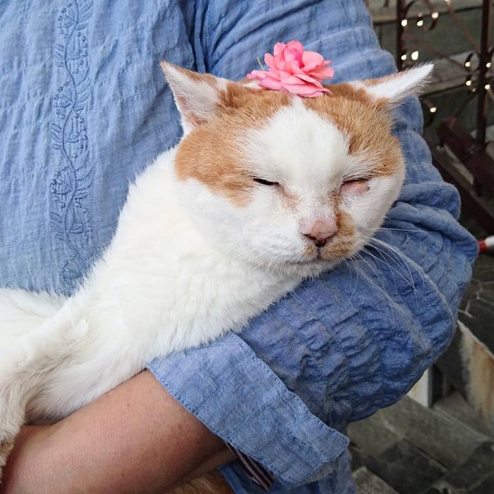 Ad70e451 37b2 47e0 b658 a494dd54a25c 1753867344253