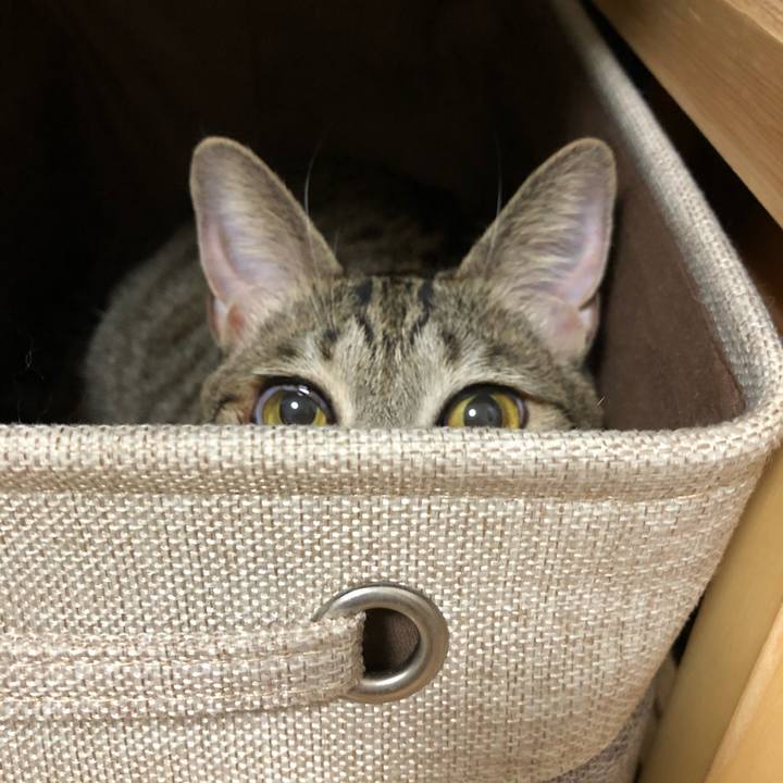 Ad70f0a2 5bd2 4ceb b937 518db9e7175e 1535645912638