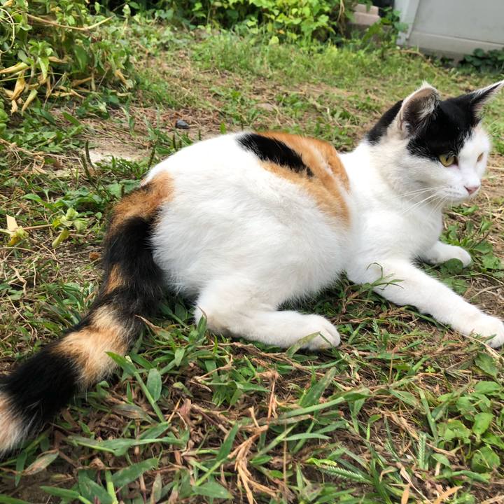 Ad71238a 4fc2 41a4 b199 bd2b1ab01021 1601850030645