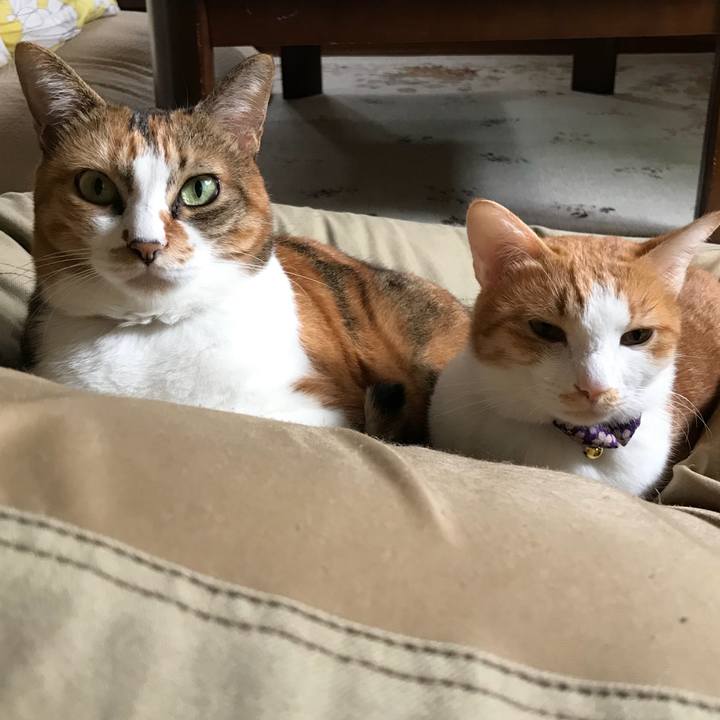 Ad712d75 ab86 4024 b807 d6f737d34408 1508420494038