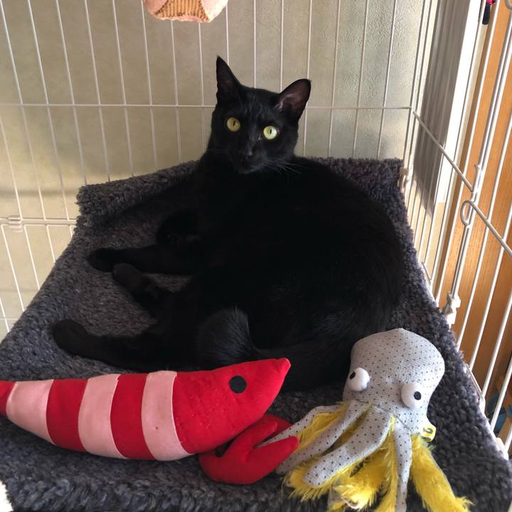 Ad713f80 d561 477d b1e6 feaebae0bd43 1548204829342