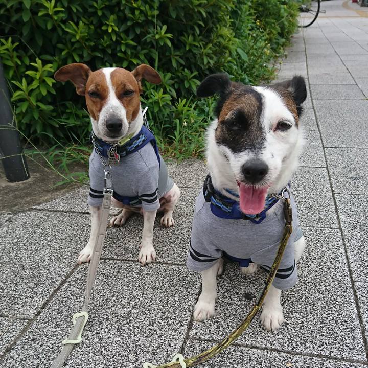 Ad71565c 3757 4a5f 932e 99d6cc639d13 1596578561577