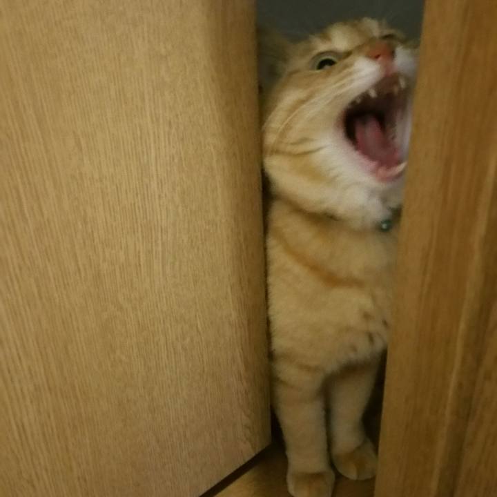 Ad716570 ed2f 4ee1 8c7d a7129d7fc503 1516668790289