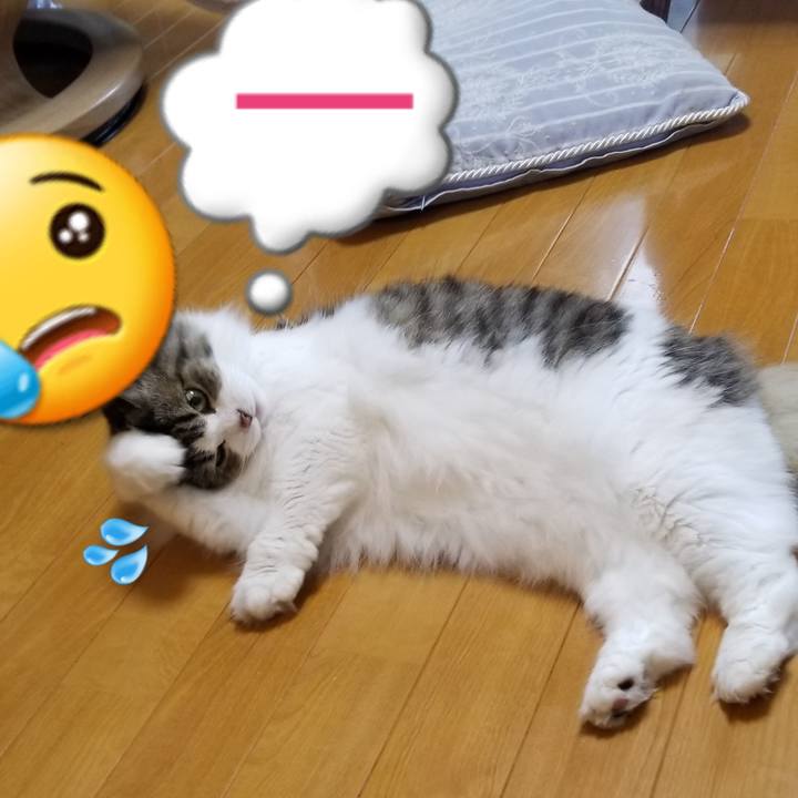 Ad71a3c0 32bc 4818 8bb1 05a87304c96e 1567345965358