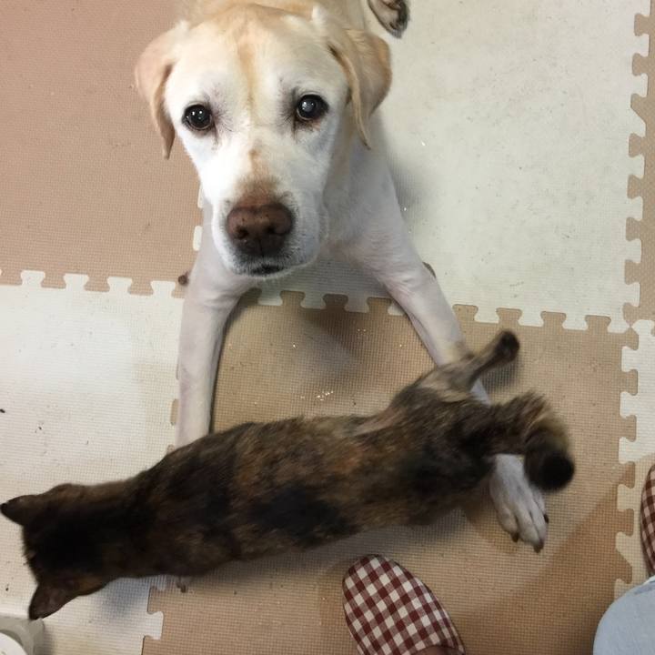 Ad71d028 6c14 4758 910e ba0362409cfb 1547516035949