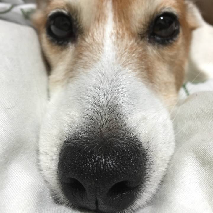 Ad71f68a b123 4099 bd8a aa9c67182d8d 1528811865689