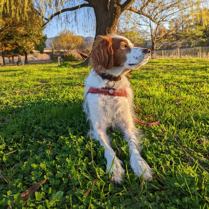 Ad720f45 9326 44a6 a02e f05d1e476677 1639036389329