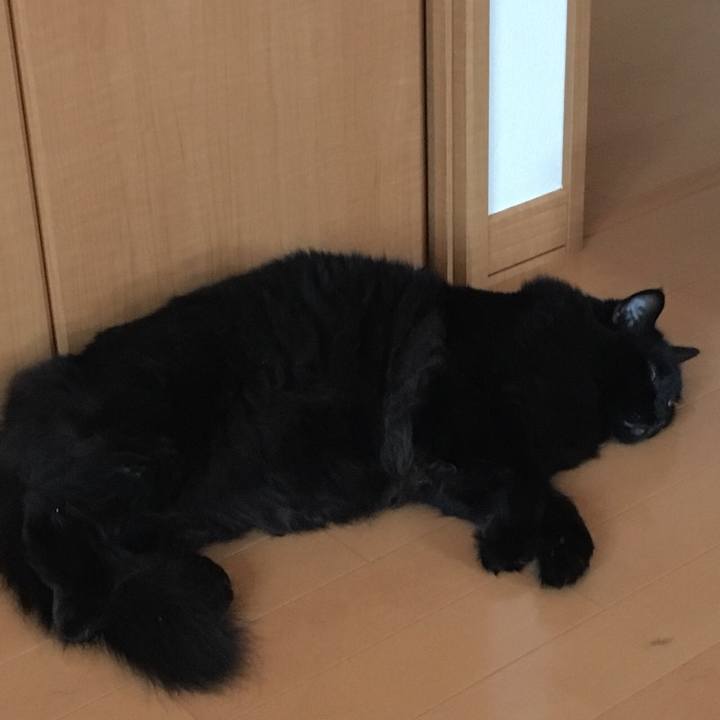 Ad722f9c ac61 4ca9 86e3 bb843d7317e2 1532656594864