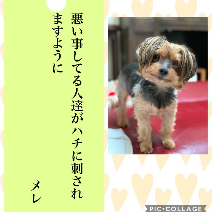 Ad7265b8 3e50 4ad5 abb6 bb41498ef358 1594109387661