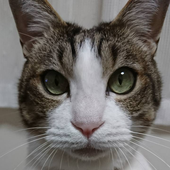 Ad726678 e754 4b1a 9ab7 e75cf52cbfcc 1546357011754