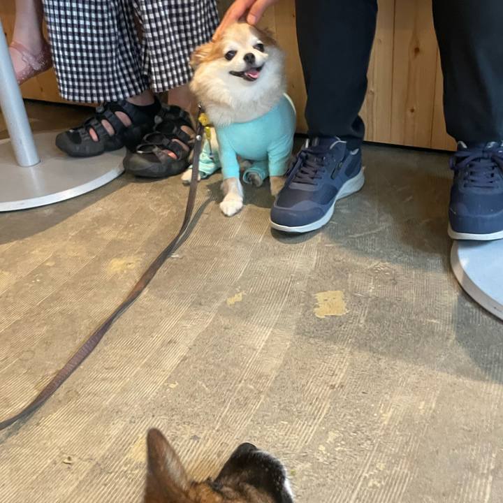 Ad727d75 9321 49be a2ae 4e4d034dc919 1754181507646