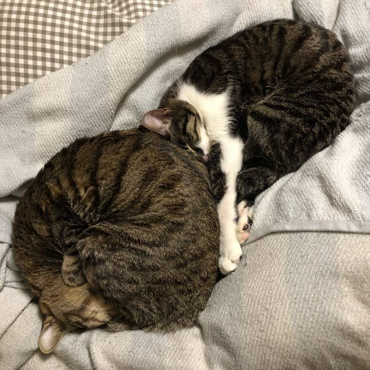 Ad72a967 ed83 41d1 ac3e 9683b3171f34 1519749850312