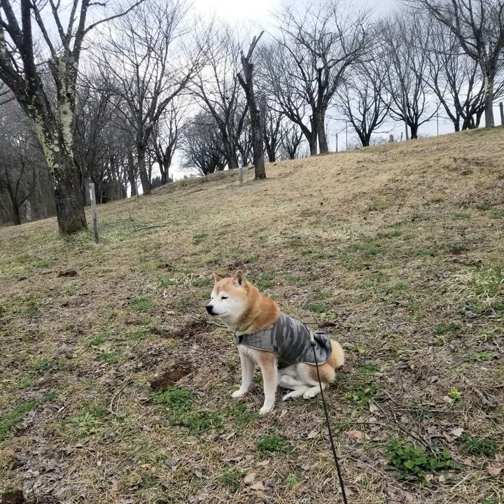 Ad72b4da 380c 4d7f afcd a82a43d5e057 1679890141907