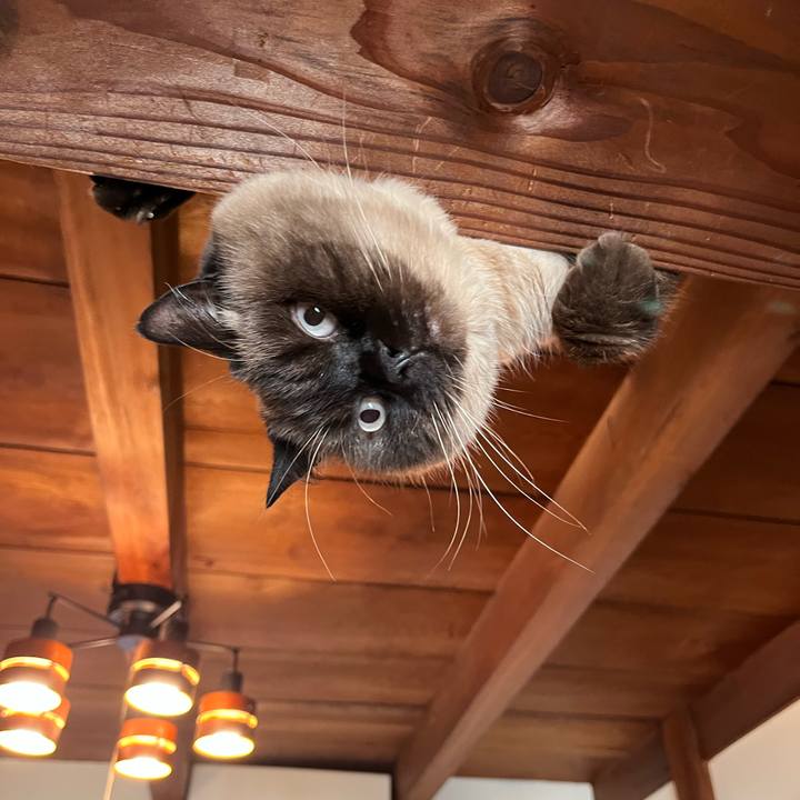 Ad72e793 1c0f 46e6 af0c 67150c6c2e39 1735375257625