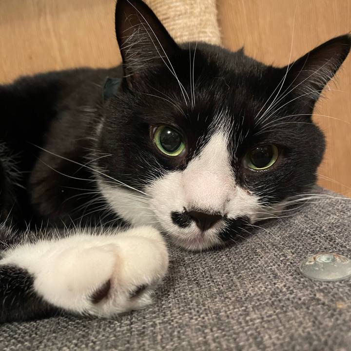 Ad72e819 bff4 4ccf b678 87be2d699dcc 1730725794791