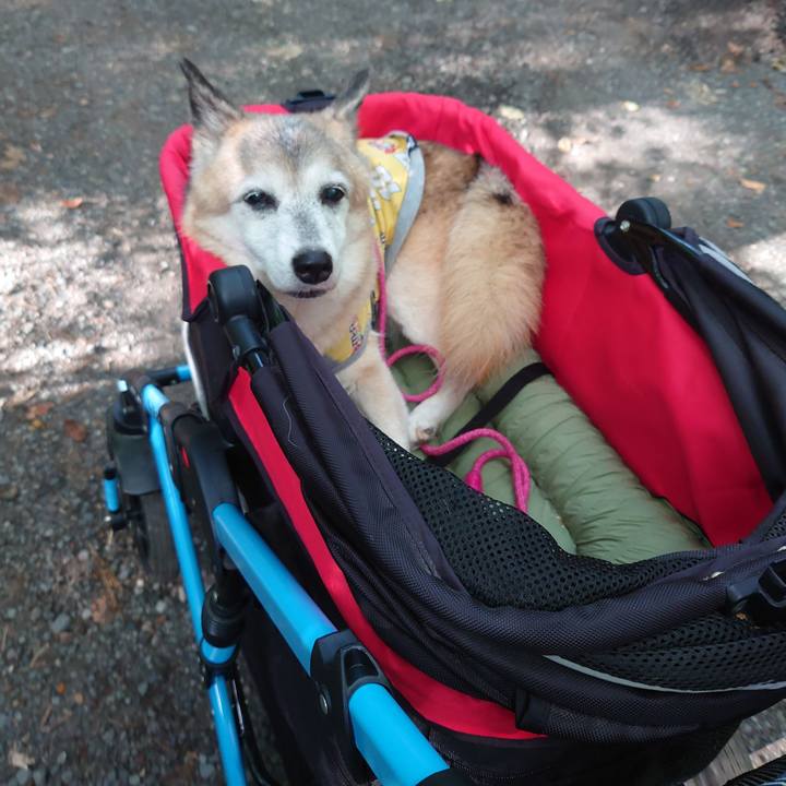 Ad736c8a 1174 4871 b997 85dd20f0a5af 1755695486619