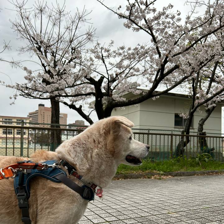 Ad73718e 652b 442c 857e bf308b860e17 1712366841344