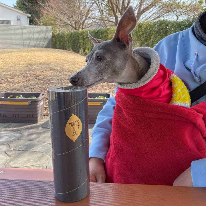 Ad739fc3 c2c7 450e 8430 7edd4cedb110 1774522548655