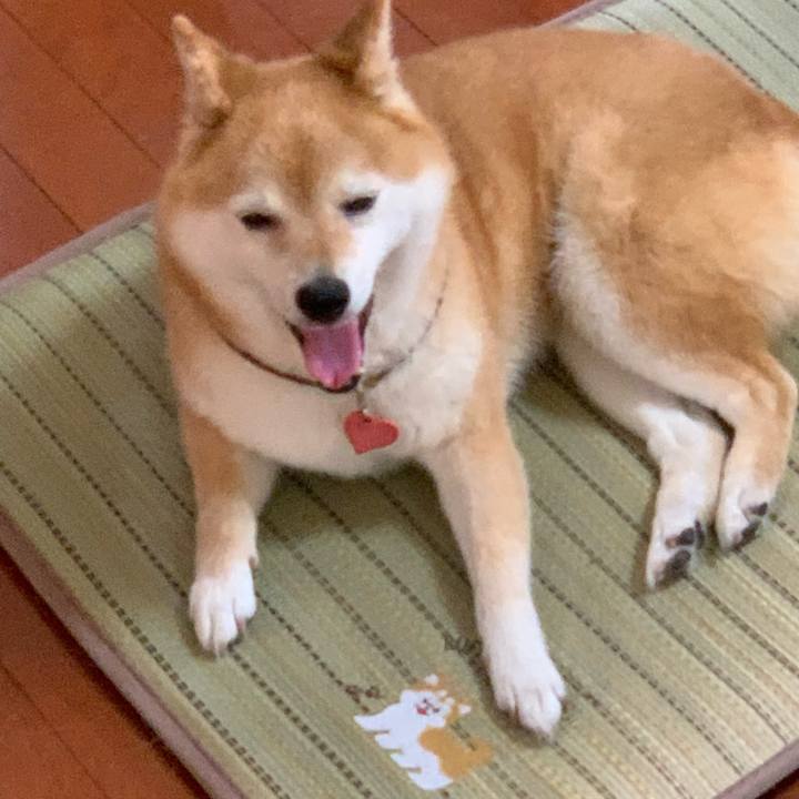 Ad73afd4 ca63 4e1b b9b6 d84fefc099fa 1623830585903