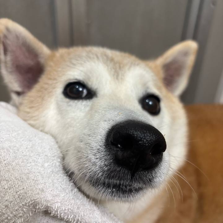 Ad73bbdf 5952 4989 b237 2010b45eaee4 1749503159245