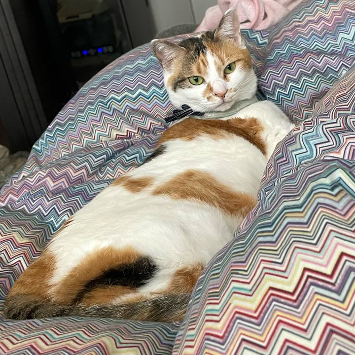 Ad73f5fd 0b55 4c26 bb51 b57847b63e13 1682652251034