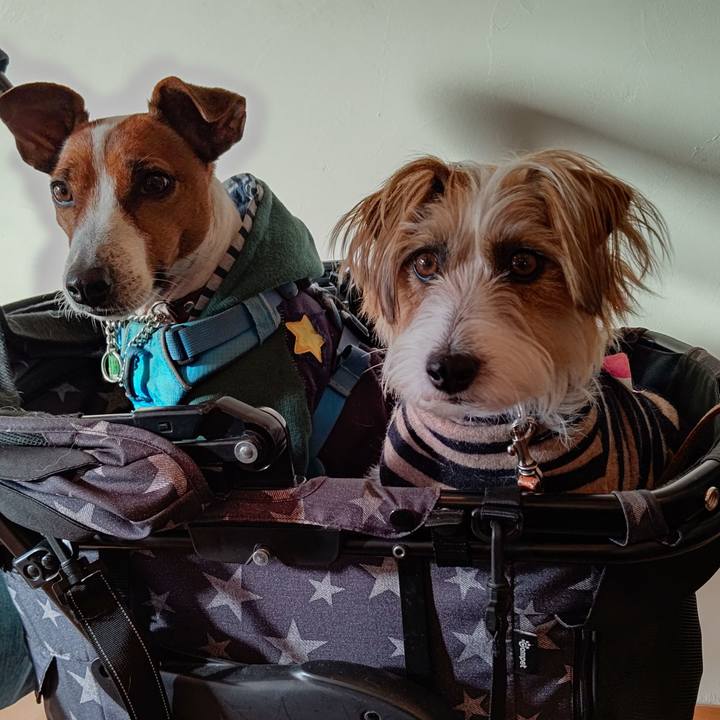 Ad742f10 855b 4b32 b42d 5894f929a7ed 1639214401481