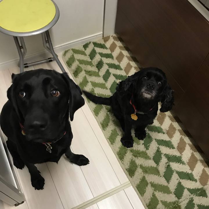 Ad7464b7 a24e 4b8a ae21 d1b400f706c4 1542017243023