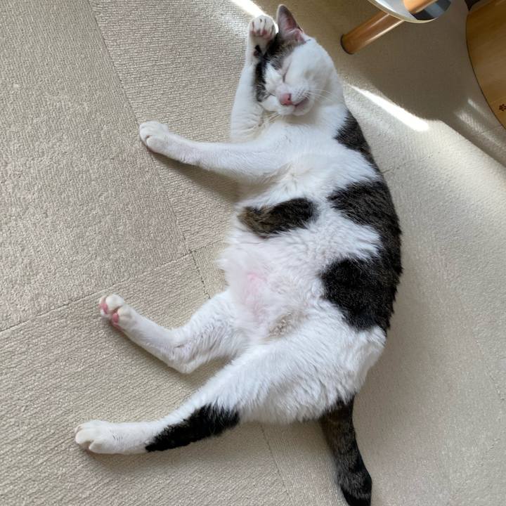 Ad746667 196a 4191 85a8 d9bc3d6d6adc 1763622464019