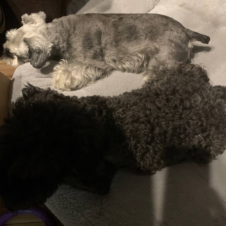 Ad747965 2349 41cd abe9 676a1a5fa3f0 1661591860718