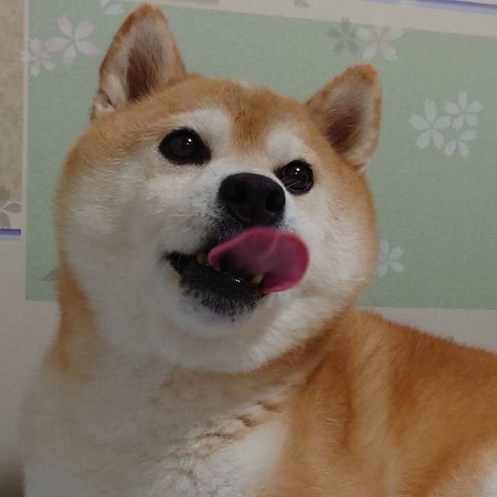 Ad74b4b8 8d14 42f0 b2b0 9f0391908116 1651455146787